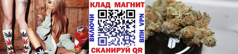 Купить закладку Канабис  Псилоцибиновые грибы  Гашиш  МЕФ  A-PVP  Покачи